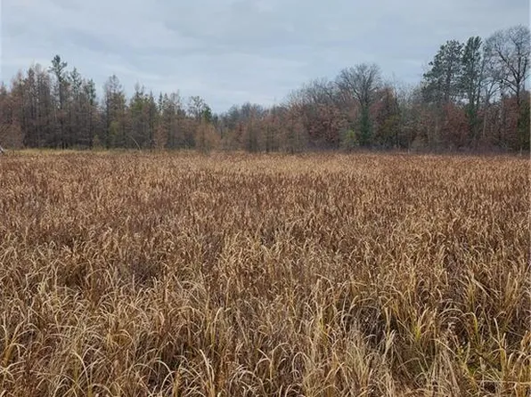 XXX County Road FF, Webster, WI 54893