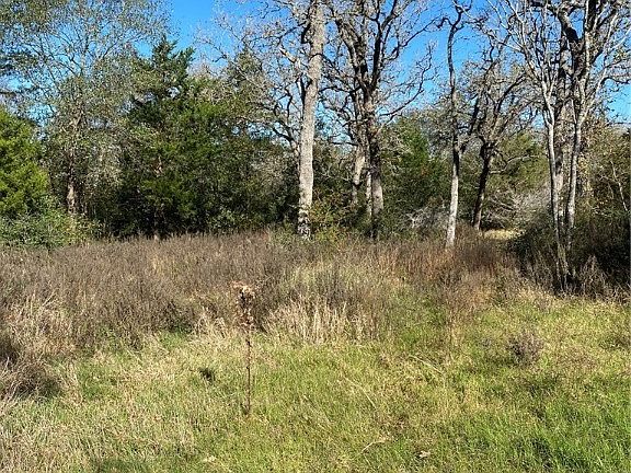5th image of 479 Live Oak Cir