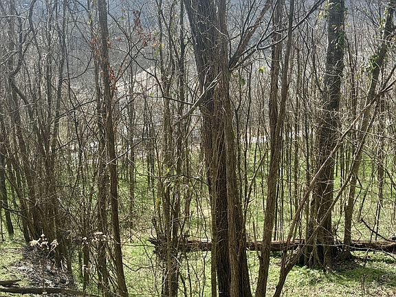 2nd image of 323 Seaton Dr