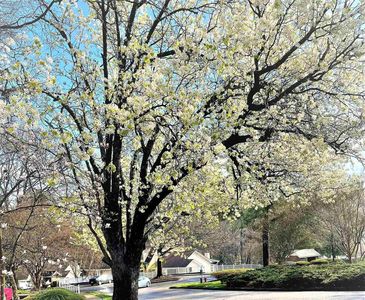 109 Assembly Ct, Cary, NC, 27511