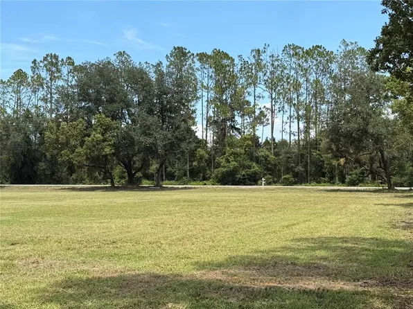 BELLAMY BROTHERS BOULEVARD LOT 0020, DADE CITY, FL 33525
