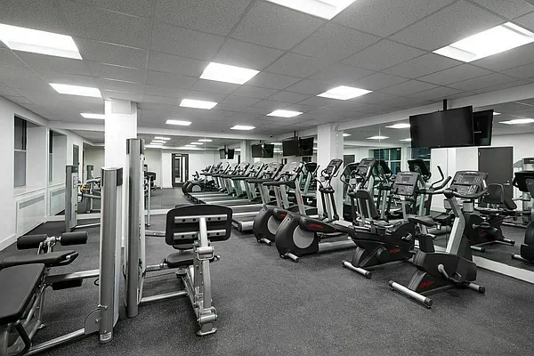 Rented by Douglas Elliman | media 18