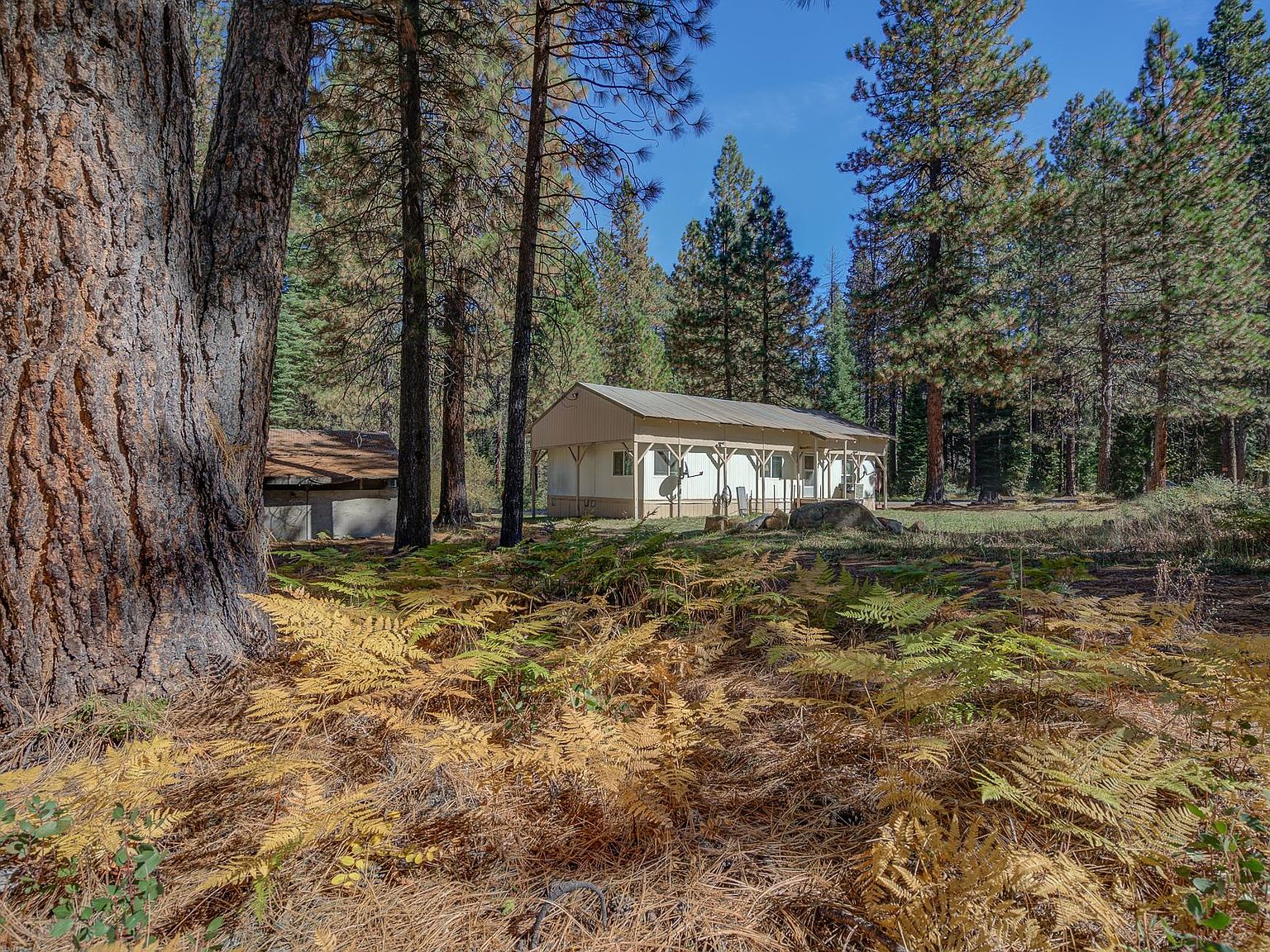 136 Timber Country Ranch Rd, Mccloud, CA 96057 MLS 20231136 Zillow