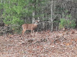 B8 Bent Wood Ln, Blue Ridge, GA 30513