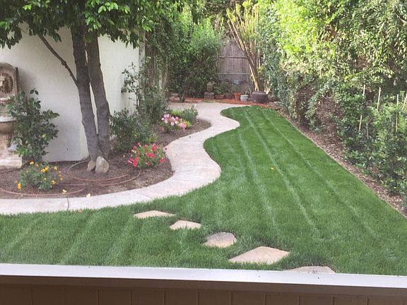 Back yard