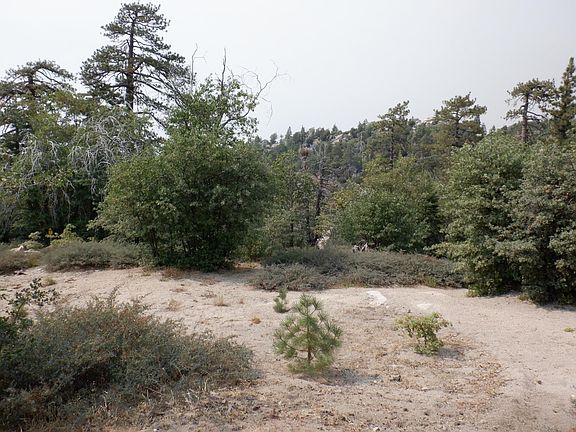 2nd image of 32966 Canyon Dr