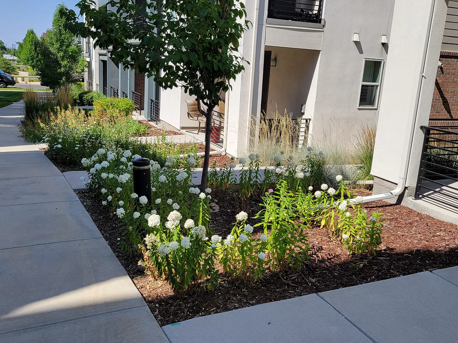 3 bed, 1812 sqft, $2,990 — Photo 2