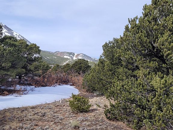 4th image of 84 Colo Land & Grazing Cir #1