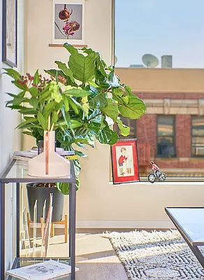 Rented by Living New York | media 21