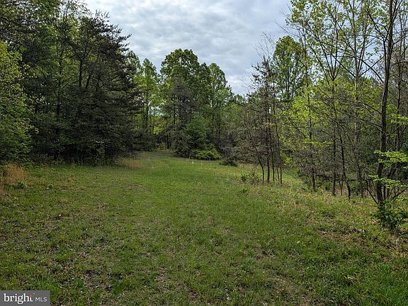 5th image of 2429 Posey Hollow Rd