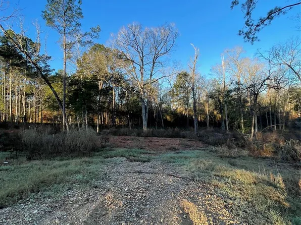 11351 Annie Creek Dr, Willis, TX 77378