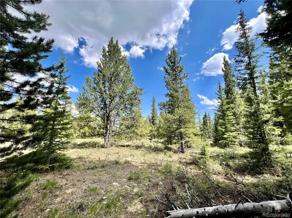76 Ute Way LOT 336, Fairplay, CO 80440