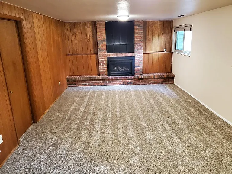 Den or entertainment room