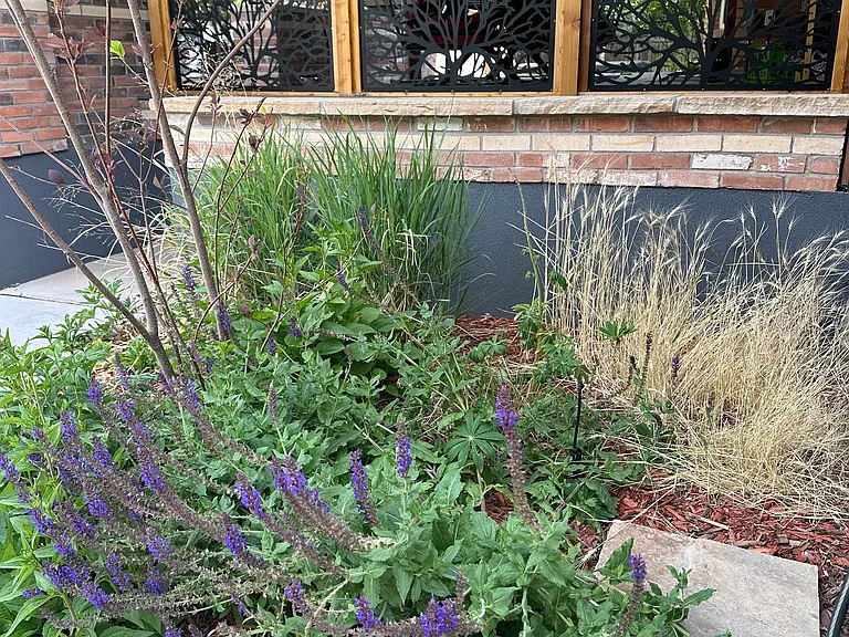 2465 W 2nd Ave #B — Photo 12