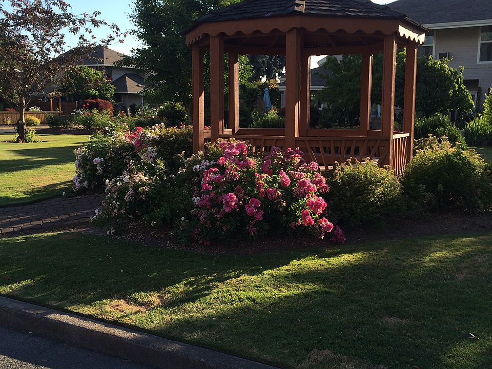 Beautiful park across street