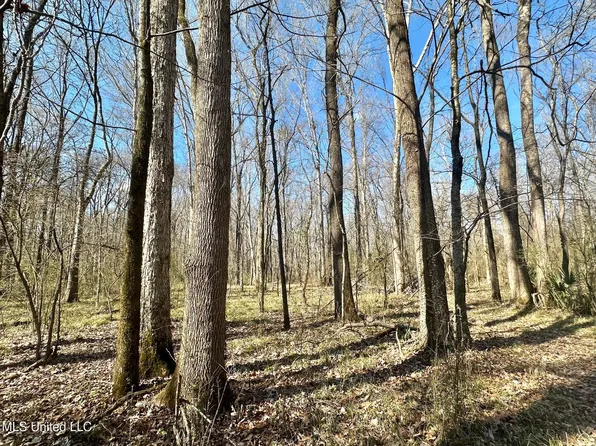 2 Champion Hill Rd, Bolton, MS 39041