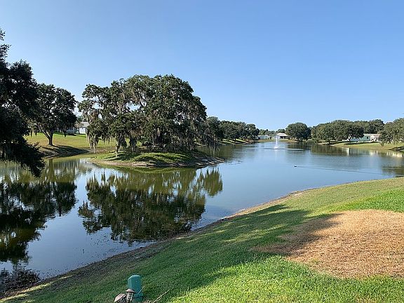 Panoramic Lone Oak Lake