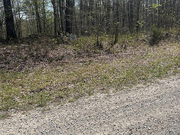 3rd image of LOT 28 Jones Ridge Rd