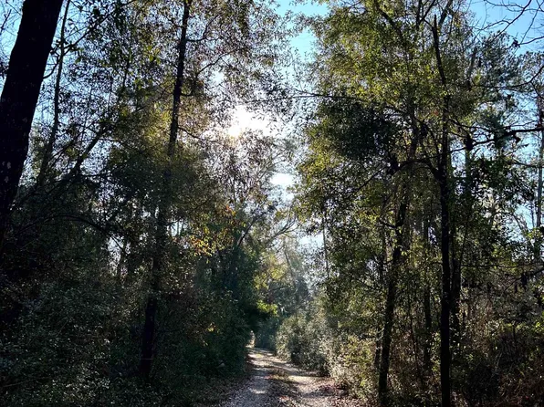 Xx Old Revell Rd, Crawfordville, FL 32327