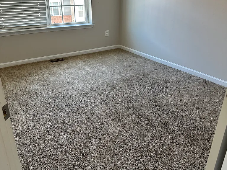 11028 Blackburn Cove Ln — Photo 16