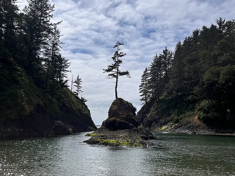 Dead Man's Cove in Cape Disappointment State Park is accessible via hiking trails or driving.