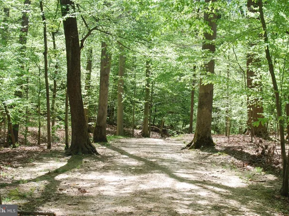 PARCEL 45 Bryan Point Rd, Accokeek, MD 20607