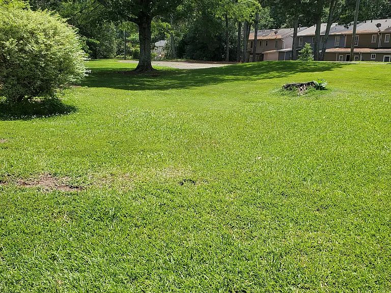 2080 Kings Gate Cir #C — Photo 21