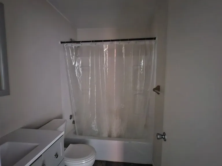 117 E Harrison St — Photo 3
