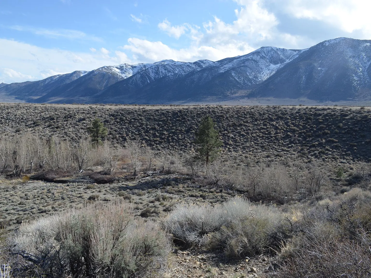 852 E Mono Lake Drive — Photo 2
