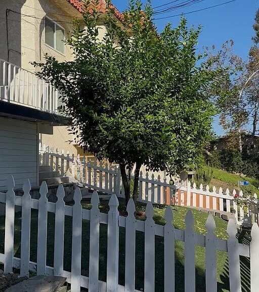 4339 Alhama Dr — Photo 24