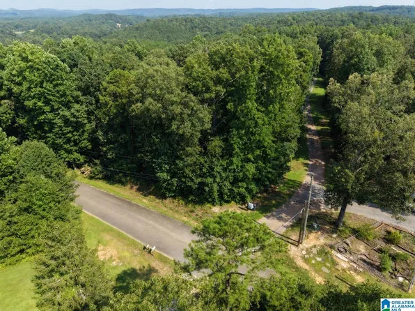 1555 Hagood Mountain Rd #0, Morris, AL 35116