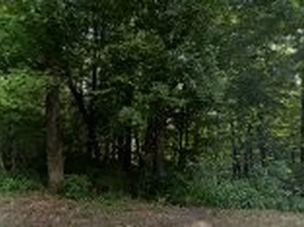 1954 Dr Robinson Rd, Spring Hill, TN 37174