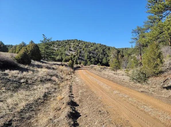 553 Maurice Dr, Cotopaxi, CO 81223