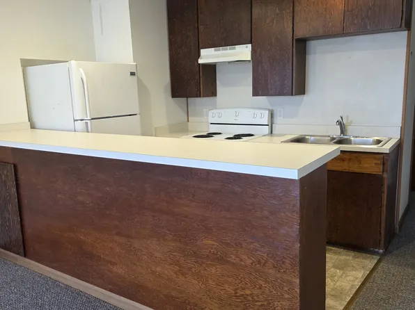 2862 Arlene Ave, Indian River, MI