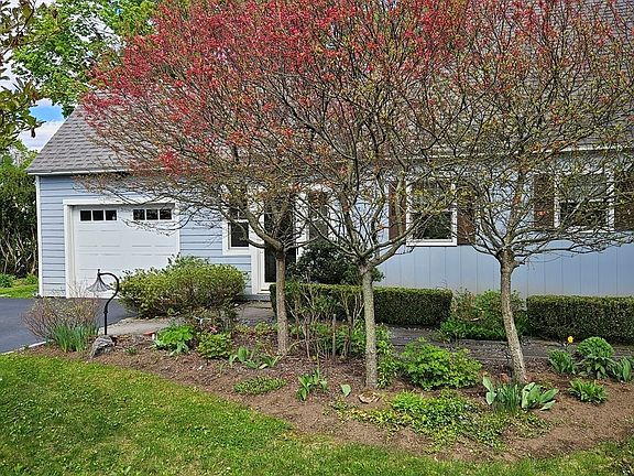 4th image of 31 Hastings Avenue