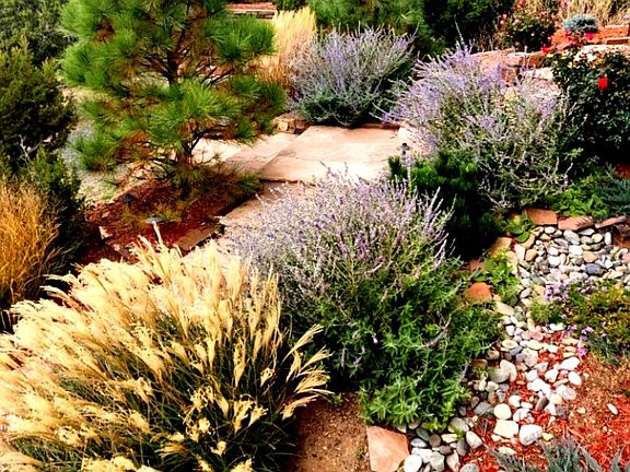 A garden pathway to the front Door.
