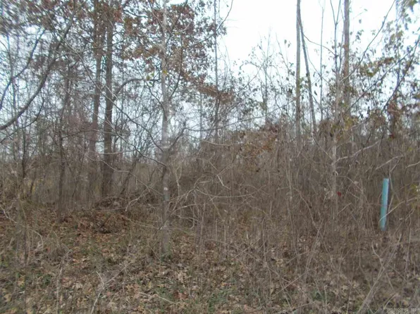 239B Saint Annes Dr, Benton, AR 72015