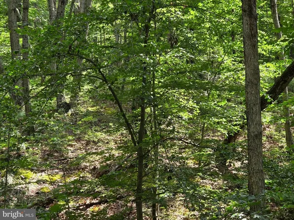 Hillandale Rd Lot 31, Front Royal, VA 22630