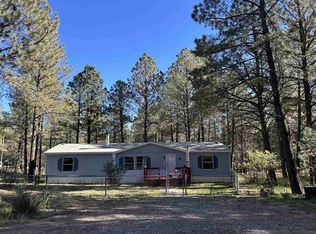 47 Pioneer Dr, Timberon, NM 88350