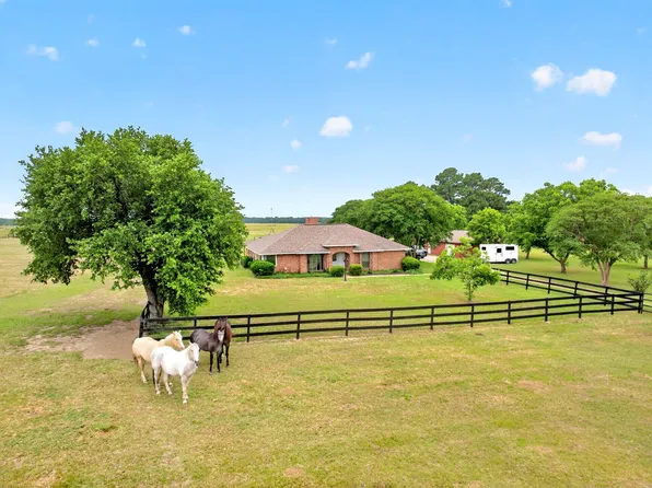 1401 Vz County Road 3411, Wills Point, TX 75169