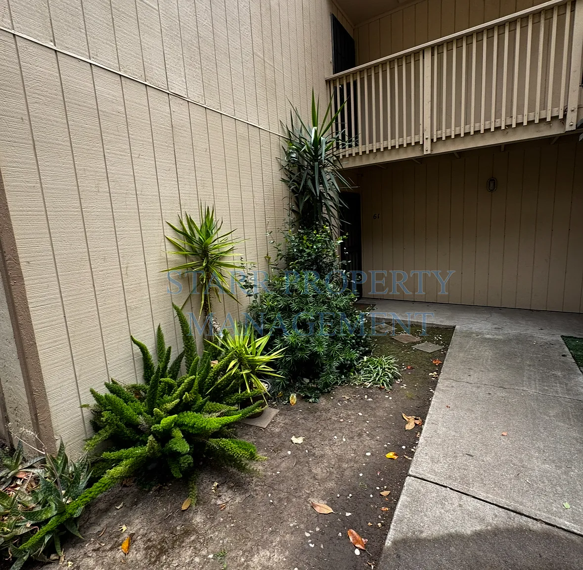 2 bed, 1.0 bath, $1,600 — Photo 1
