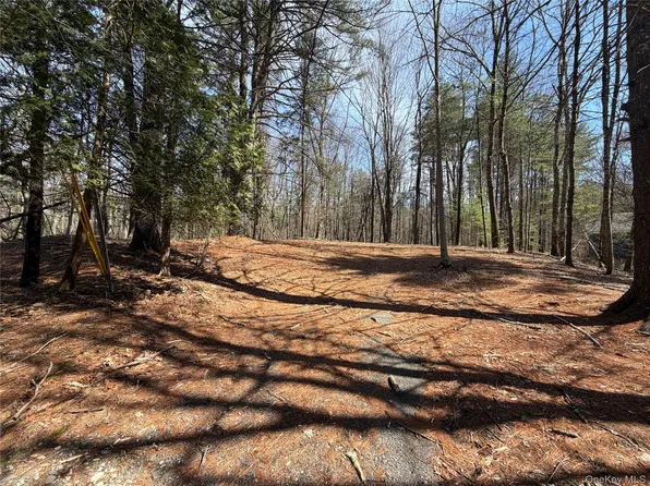 42 Yorkville Park Road, Bloomingburg, NY 12721