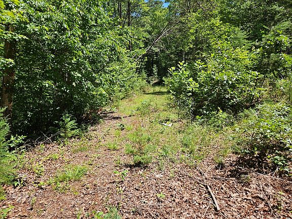 2nd image of Manteo Rd