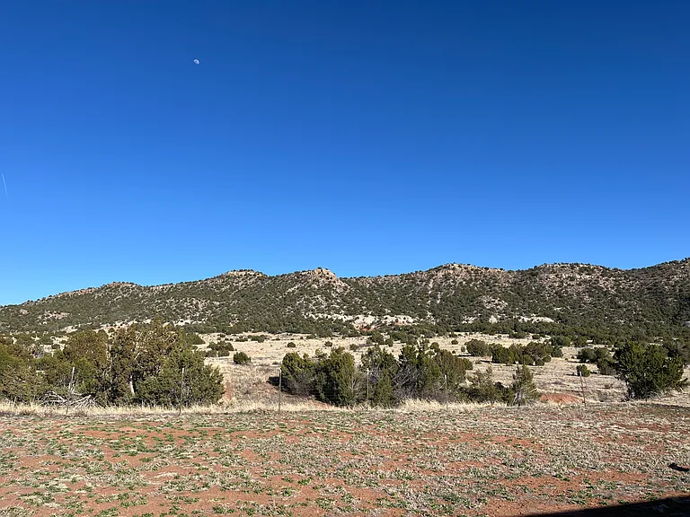 View from back deck