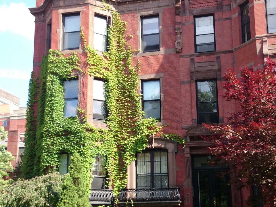 2nd image of 284 Commonwealth Ave APT 26