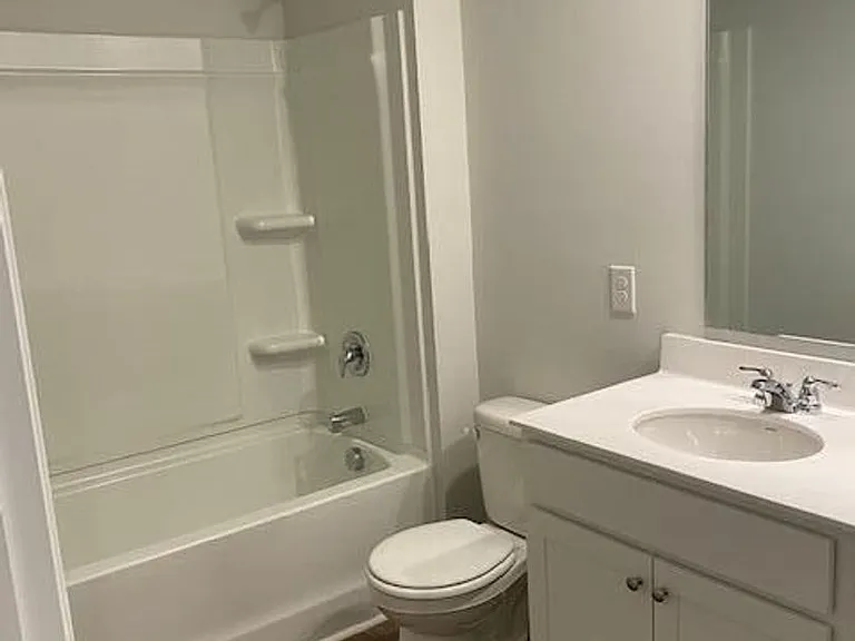 121 Blossom Wood Ln — Photo 16