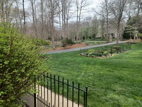 Lee Jackson Cir Photo 1