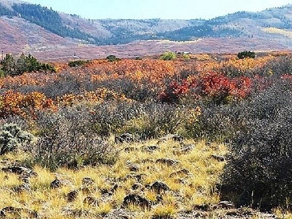 2nd image of 65 Tbd Hwy