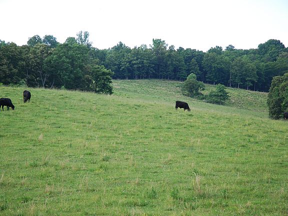 3rd image of 229 County Road 296