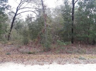 12351 NE 91st Ct, Archer, FL 32618